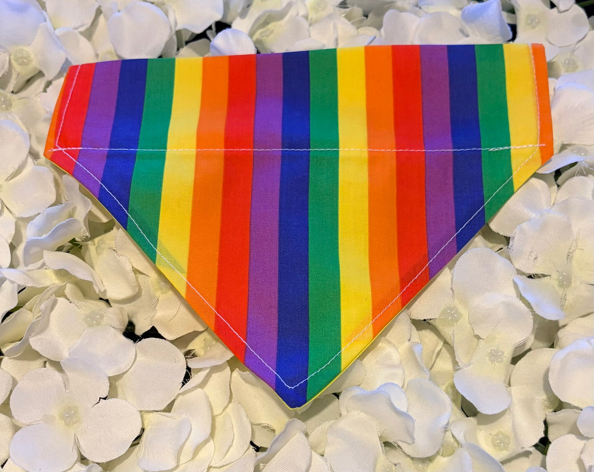 Rainbow Bandana - Small