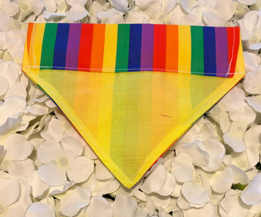 Rainbow Bandana - Small