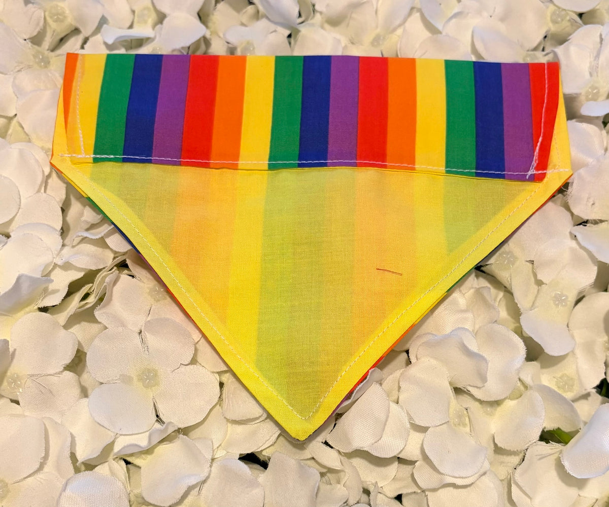 Rainbow Bandana - Small