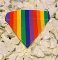 Rainbow Bandana - Extra Small