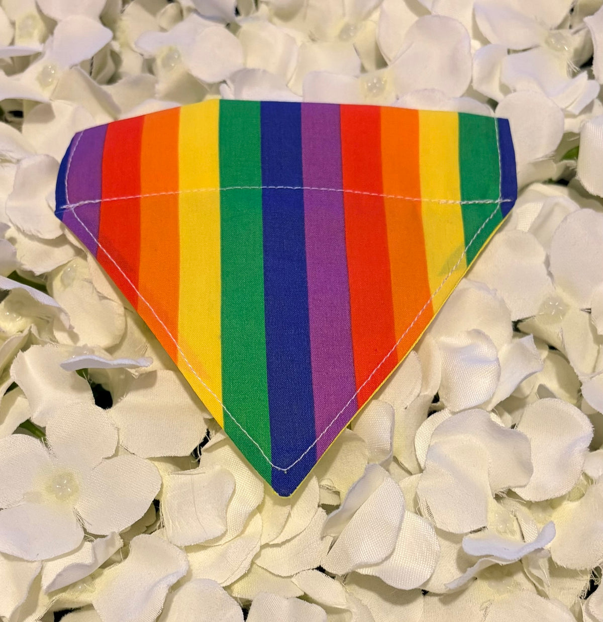 Rainbow Bandana - Extra Small
