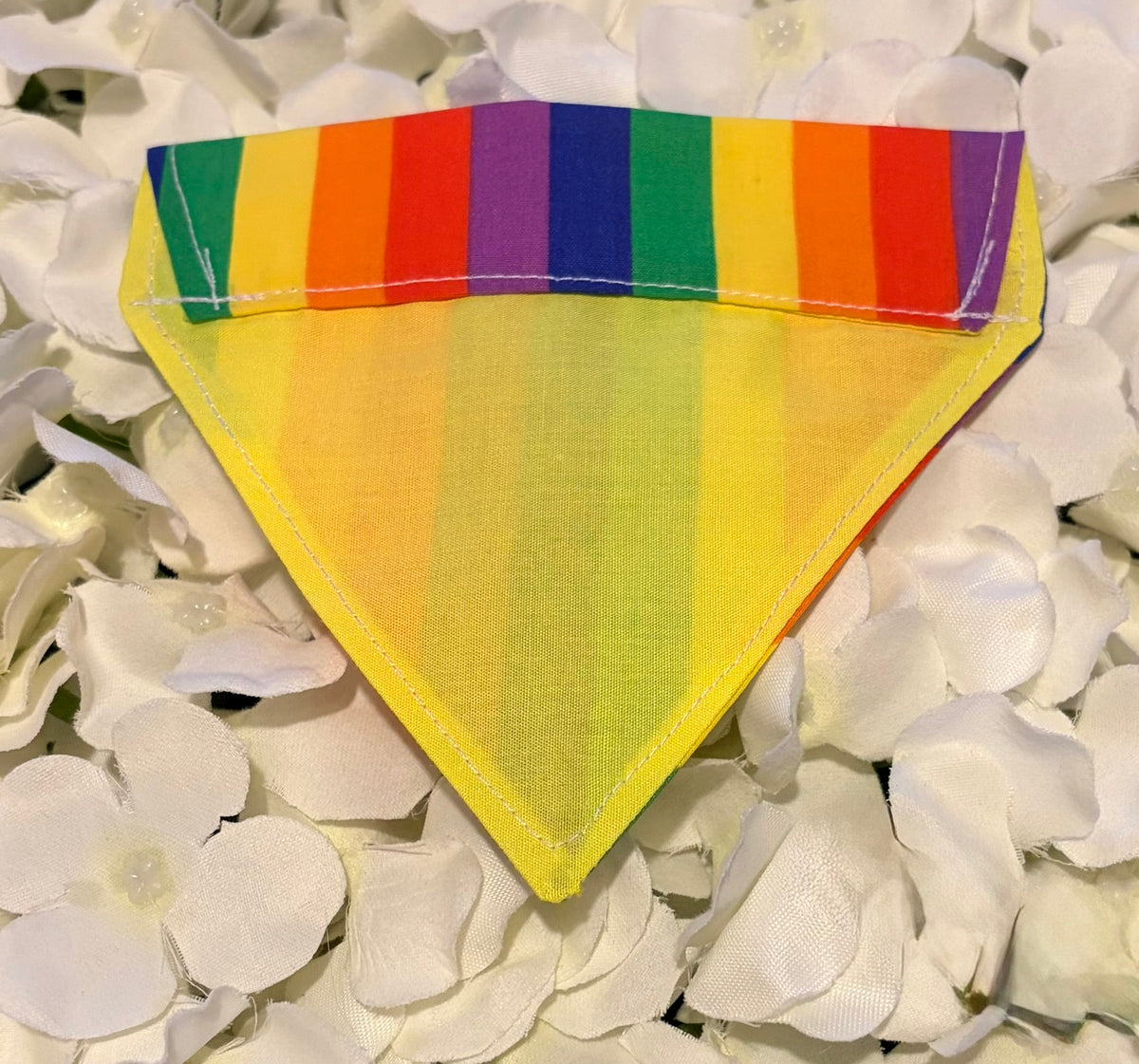Rainbow Bandana - Extra Small