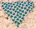 Lucky Shamrock Bandana - Large