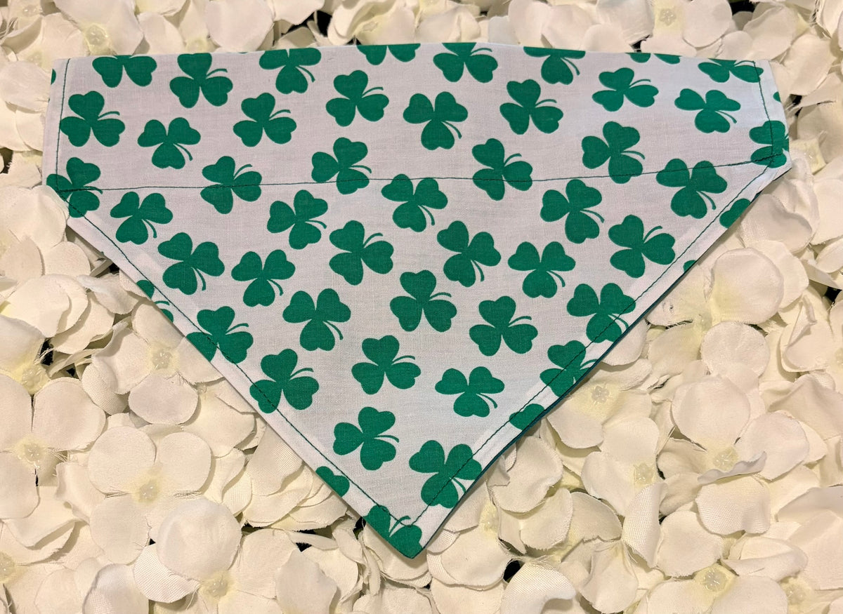 Lucky Shamrock Bandana - Medium