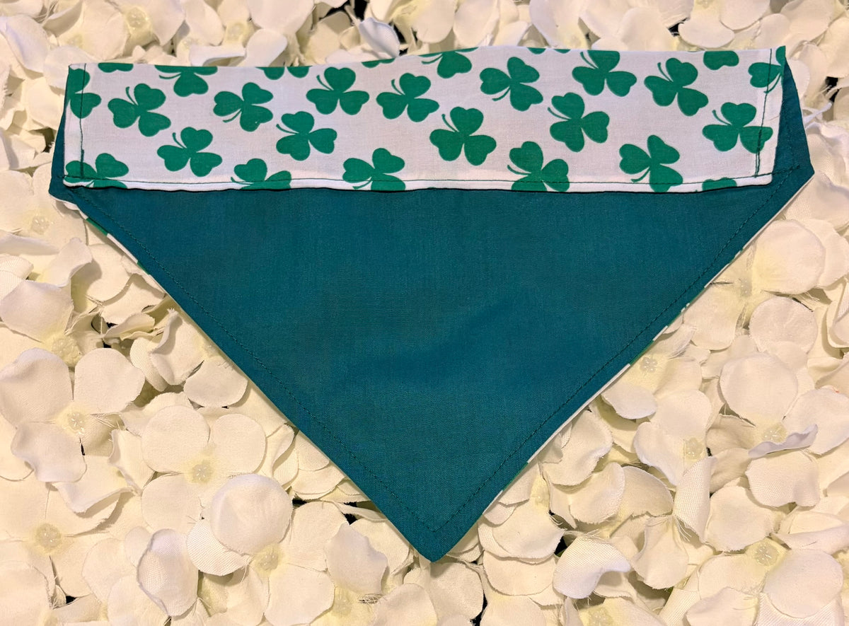 Lucky Shamrock Bandana - Medium