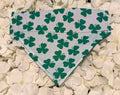 Lucky Shamrock Bandana - Small