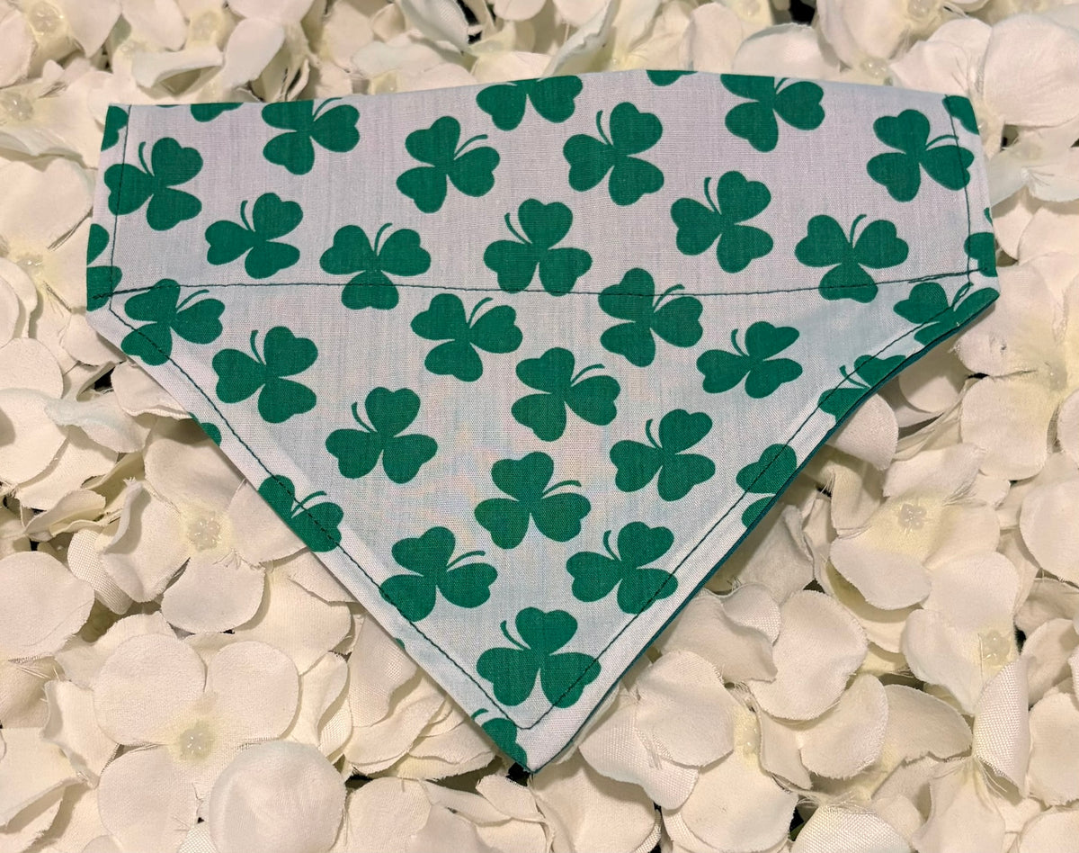 Lucky Shamrock Bandana - Small