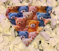3D Teddy Bears Bandana - Extra Small
