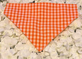 Orange Gingham Bandana - Medium