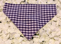 Purple Gingham Bandana - Medium
