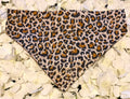 Leopard Print Bandana - Medium