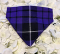 Purple Tartan Bandana - Extra Small