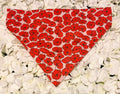 Red Poppy Bandana - Large