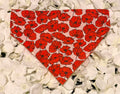 Red Poppy Bandana - Small