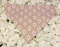 Beige Bears Bandana - Large