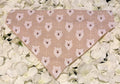 Beige Bears Bandana - Medium