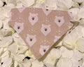 Beige Bears Bandana - Extra Small