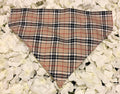 Burbury Pattern Bandana - Large