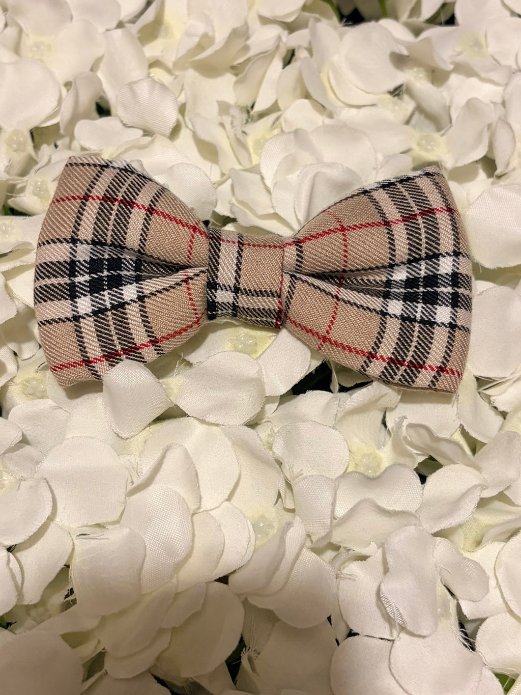 Burbury Bow - Large