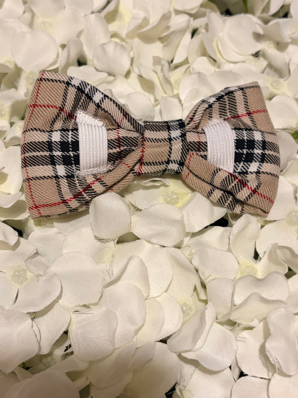 Burbury Bow - Large
