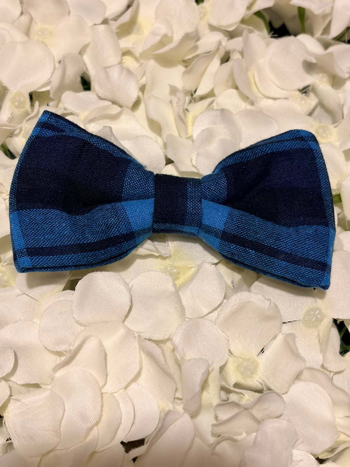Blue Tartan Bow - Large