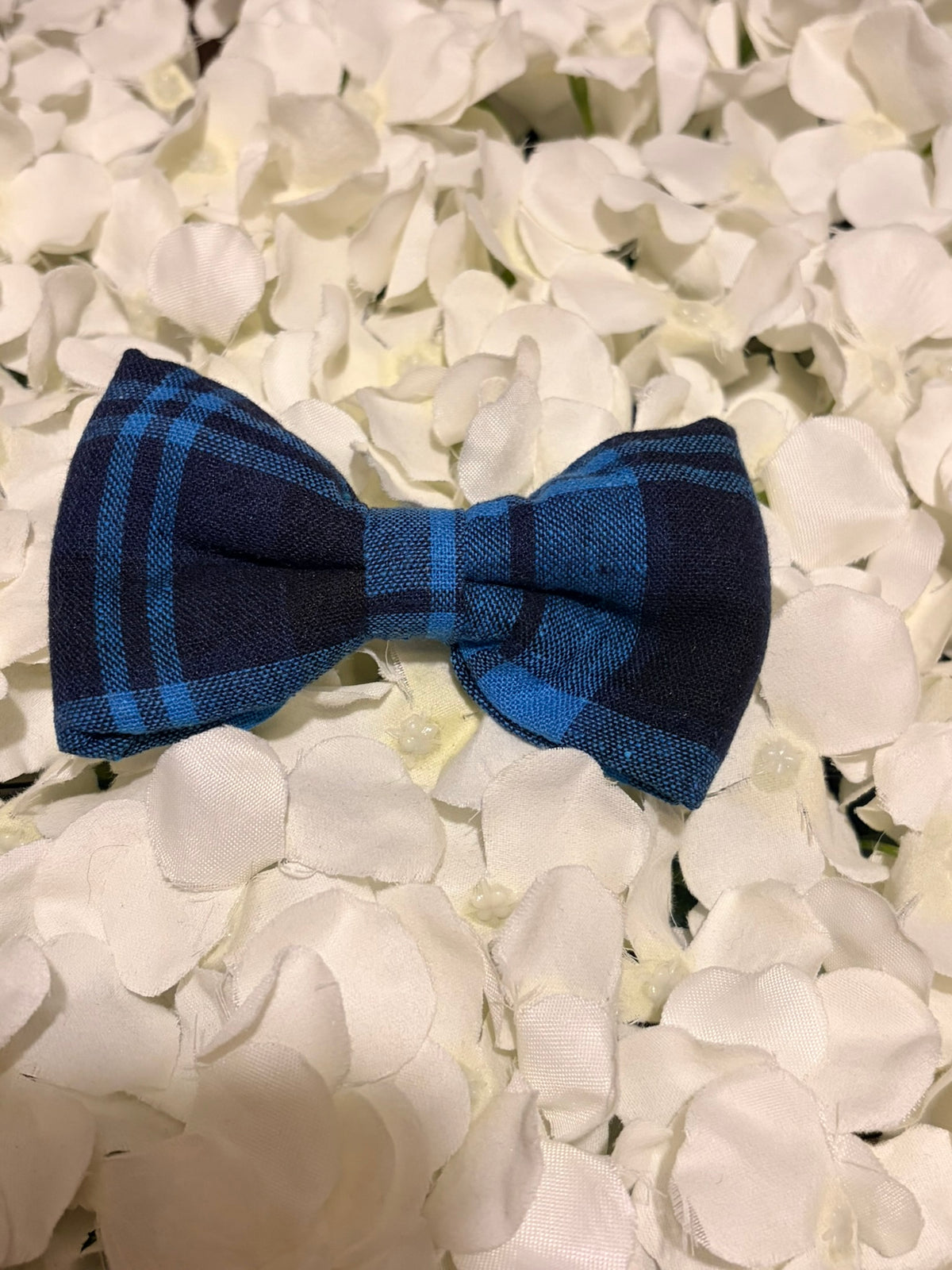 Blue Tartan Bow - Medium