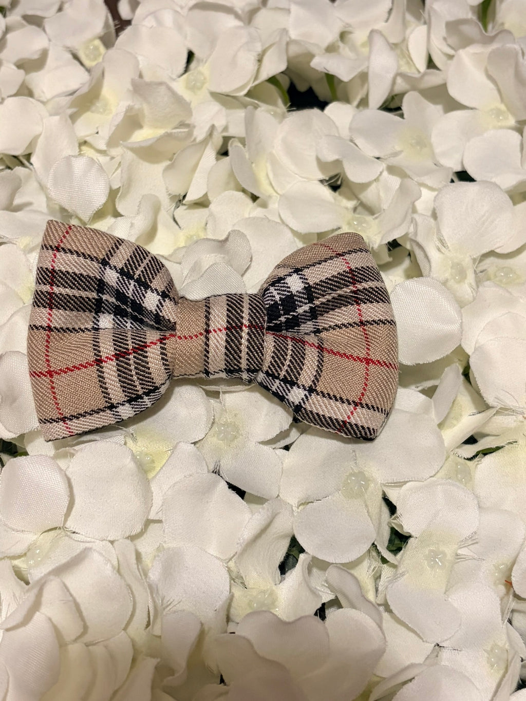 Burbury Bow - Medium