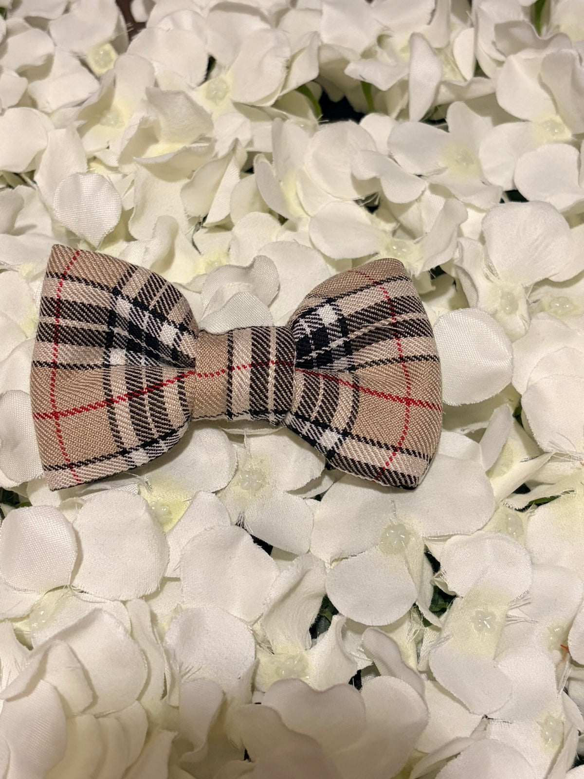 Burbury Bow - Medium