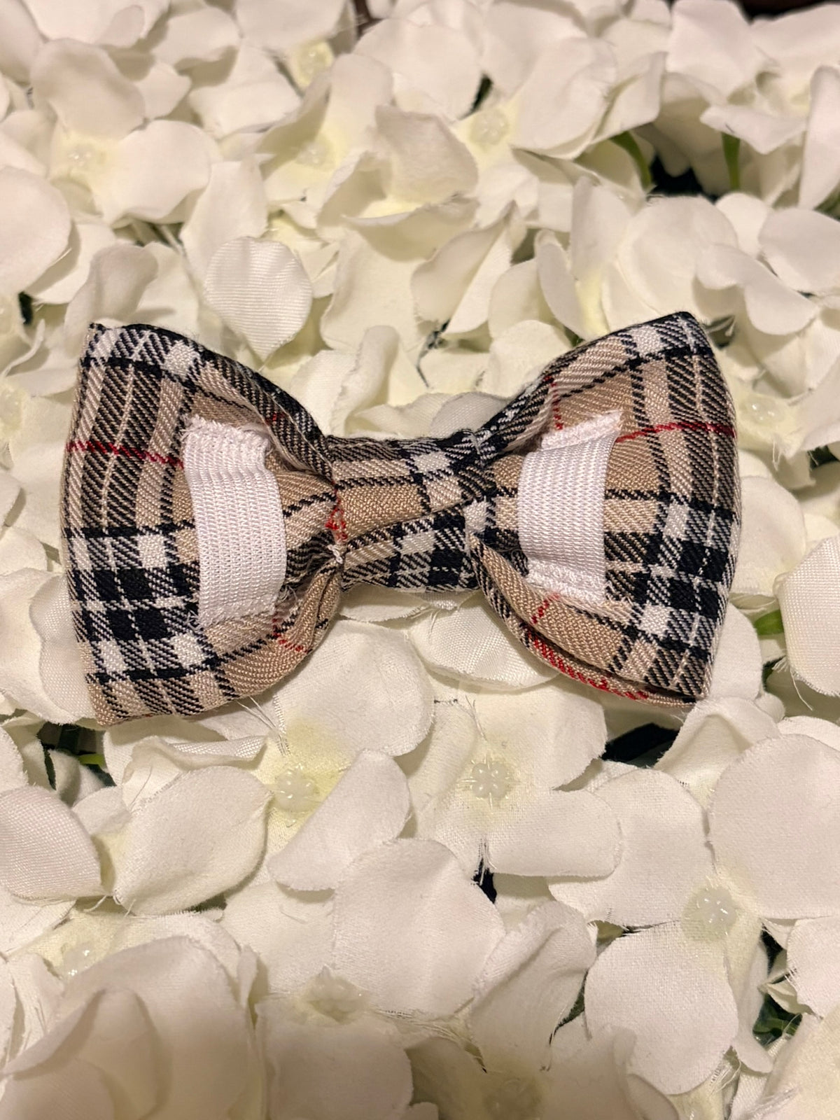 Burbury Bow - Medium