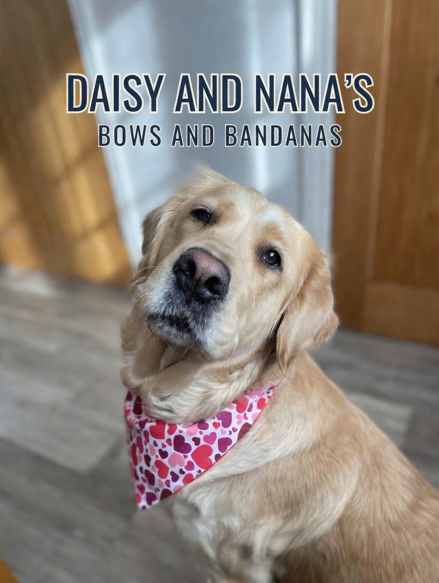 Hearts Bandana - Large