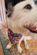 Colourful Sheep Bandana - Medium