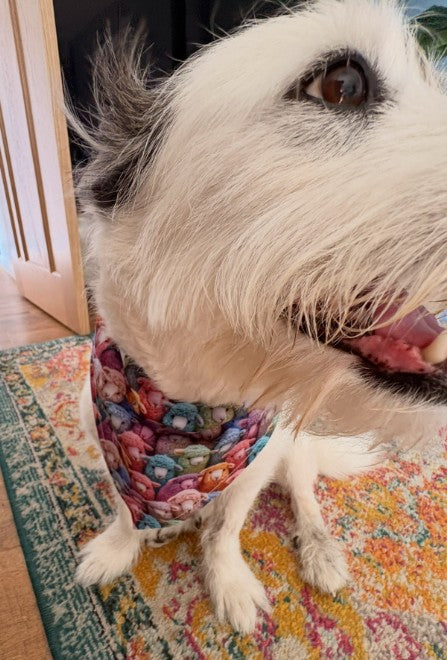Colourful Sheep Bandana - Medium