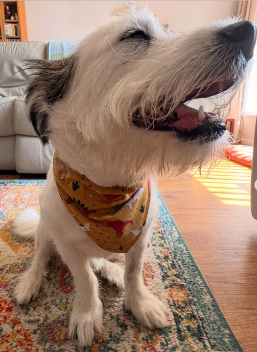 Mustard Dinosaur Bandana - Medium