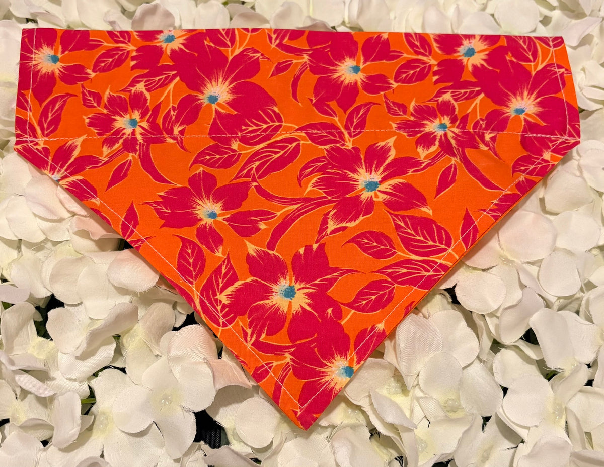Orange Flower Bandana - Medium