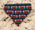 Welsh Flag Bandana - Extra Small