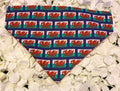 Welsh Flag Bandana - Medium