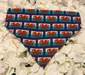 Welsh Flag Bandana - Small