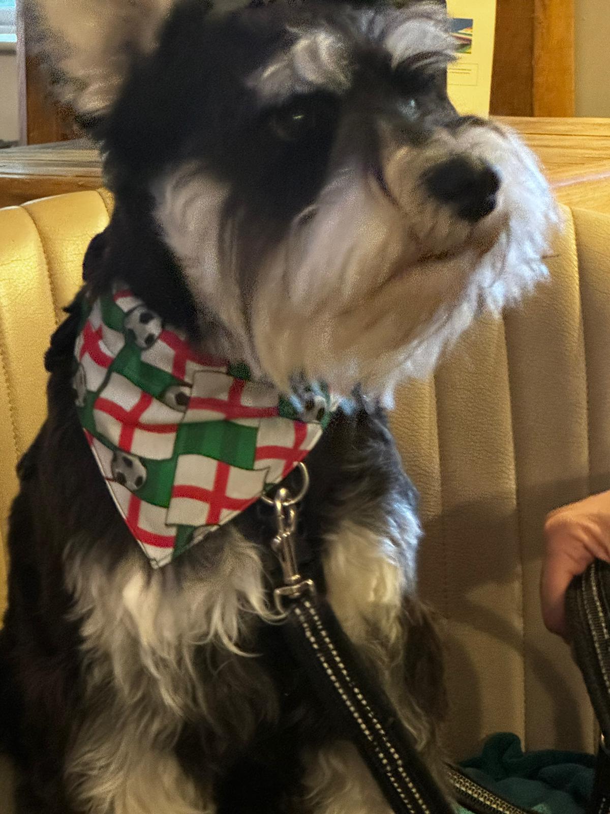 England Football Bandana - Small