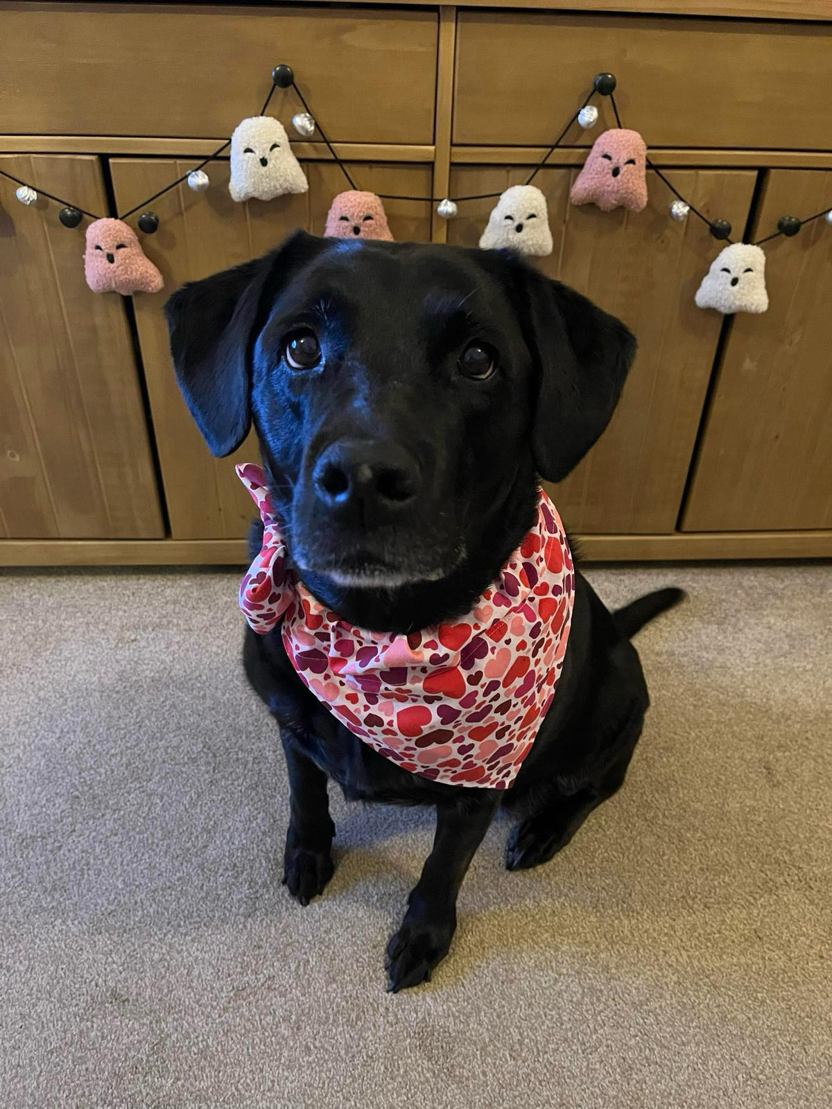 Hearts Bandana - Large