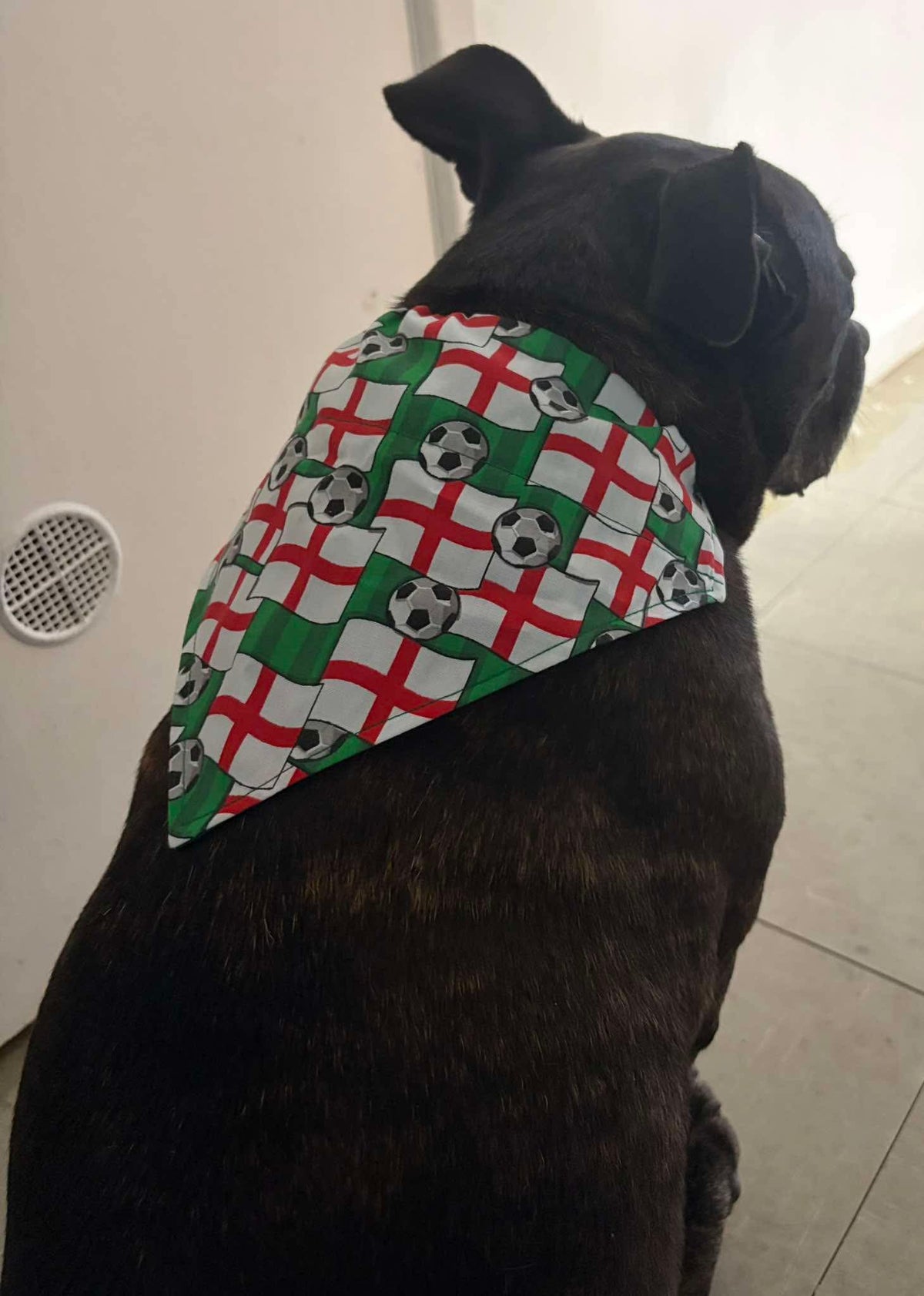 England Football Bandana - Large