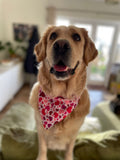 Hearts Bandana - Large